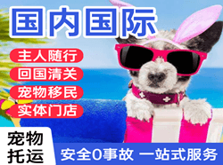 营口兰旗航空快递国际宠物托运 【国